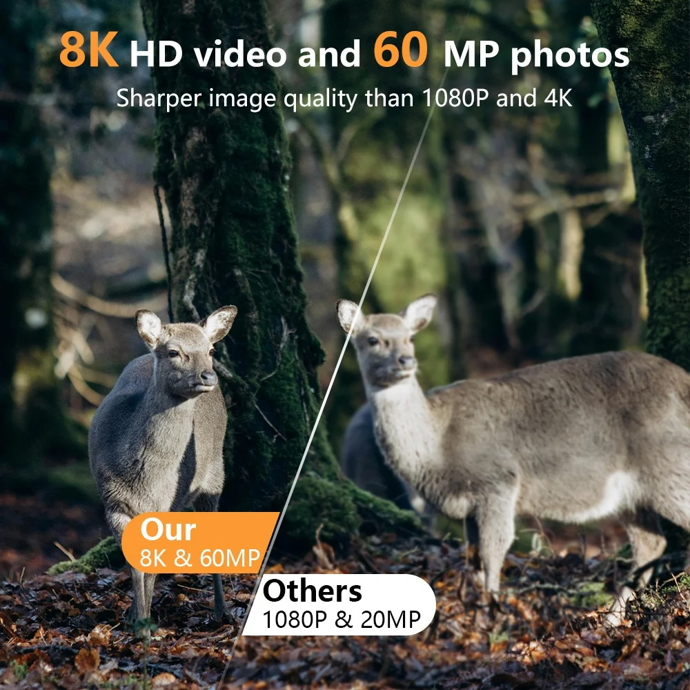 PR803W 8K WiFi Trail Camera -  - Trail Camera Infrared บทวิจารณ์และราคา