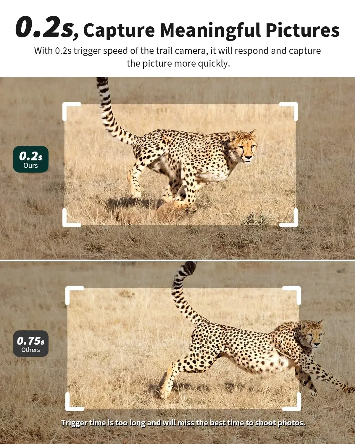 กล้องดักถ่ายภาพ 4G LTE รุ่นที่ - Trail Camera Infrared บทวิจารณ์และราคา